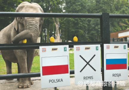 世界杯阿卡硫斯（那些世界杯賽場上的預言“神獸”）