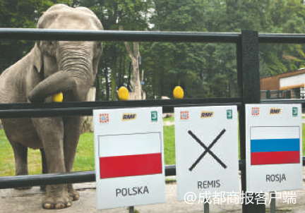 保罗为什么能预言世界杯(那些世界杯赛场上的预言“神兽”)