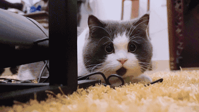 轻松月入十万的游戏是变相传销？记者卧底揭秘，多人被坑……太黑了