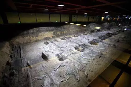 高考准考证还有用！湖北好多景区能免票、能优惠！