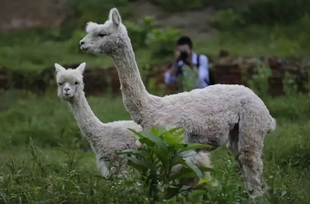 高考准考证还有用！湖北好多景区能免票、能优惠！