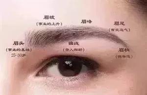 一对好的眉毛伴随着一生好的运气！