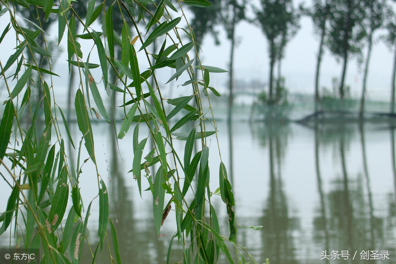 1,沾衣欲溼杏花雨,吹面不寒楊柳風.