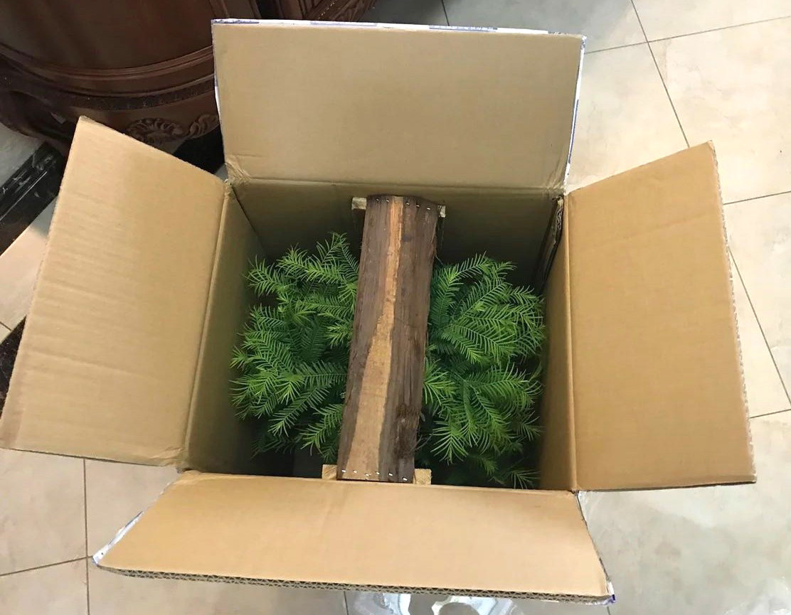 网购植物讲究多,到手裸根巧处理,收获遗憾一步之遥!