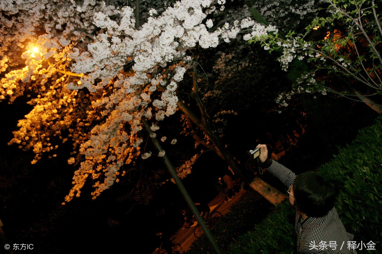 成语——花前月下、月约星期：约会可不是秀给别人看的