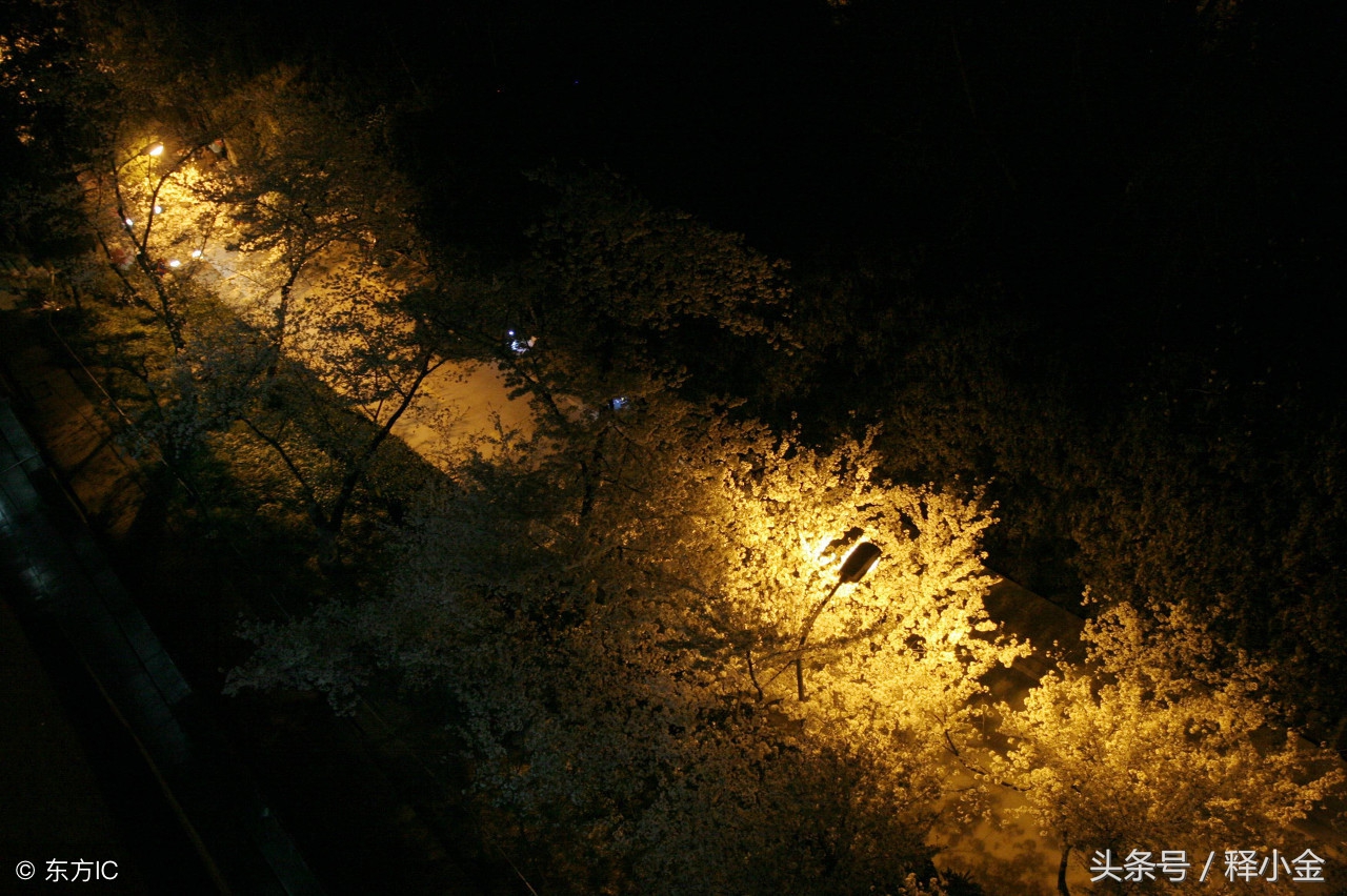 成语——花前月下、月约星期：约会可不是秀给别人看的