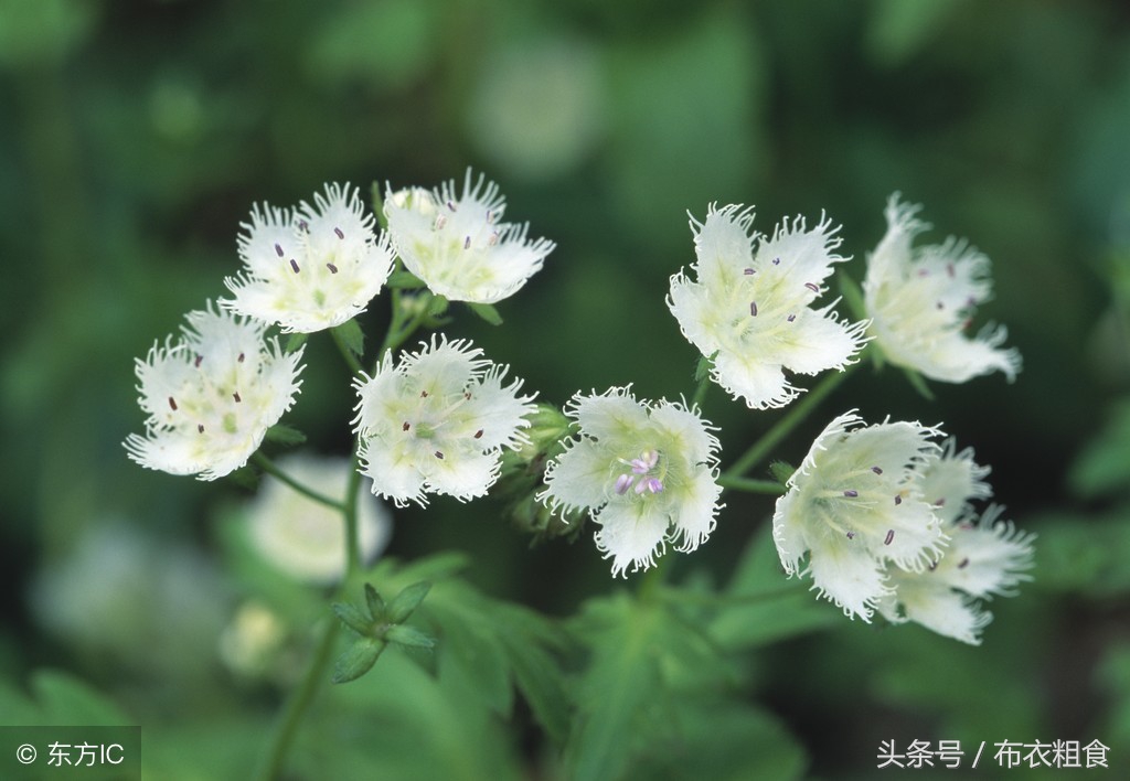 世态炎凉，烟花易冷（精辟）！