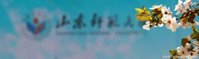 山东师范大学招生网（山东师范大学2018年本科招生答疑）