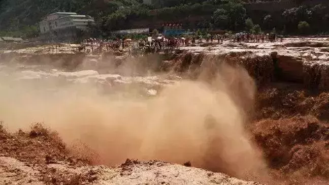 俄罗斯世界杯扑杀流浪狗(2018年6月12日三分钟知晓天下事)