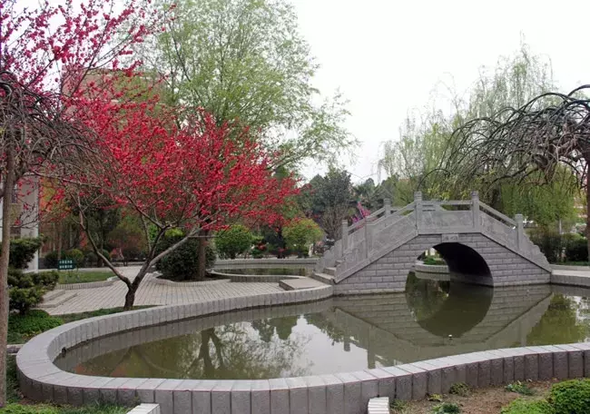 太和一中，阜阳最“学霸”高中？！