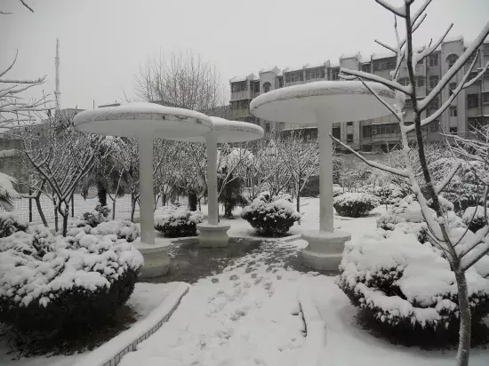 太和一中，阜阳最“学霸”高中？！