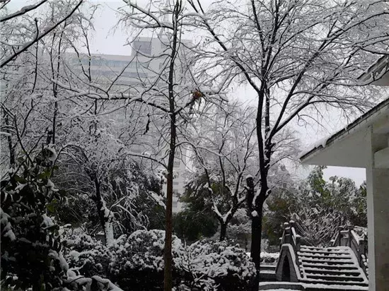 太和一中，阜阳最“学霸”高中？！