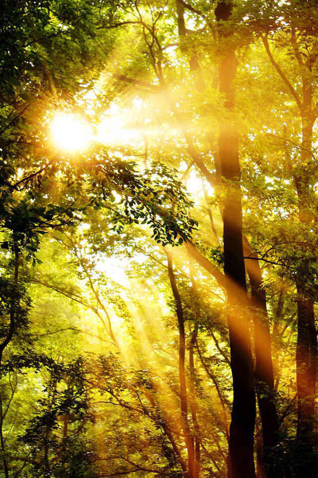 描写太阳的古诗词精选，日出日落互相交替，体现了诗人忧愁与喜悦