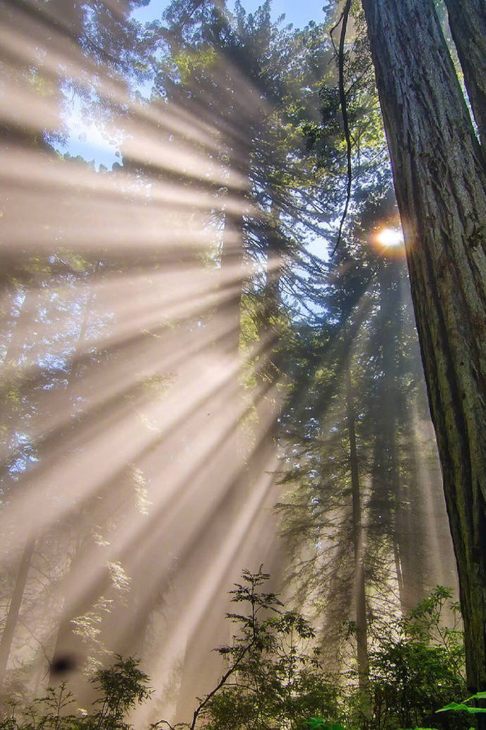 描写太阳的古诗词精选，日出日落互相交替，体现了诗人忧愁与喜悦