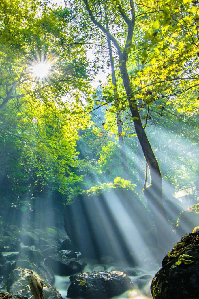 描写太阳的古诗词精选，日出日落互相交替，体现了诗人忧愁与喜悦