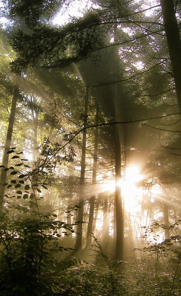 描写太阳的古诗词精选，日出日落互相交替，体现了诗人忧愁与喜悦