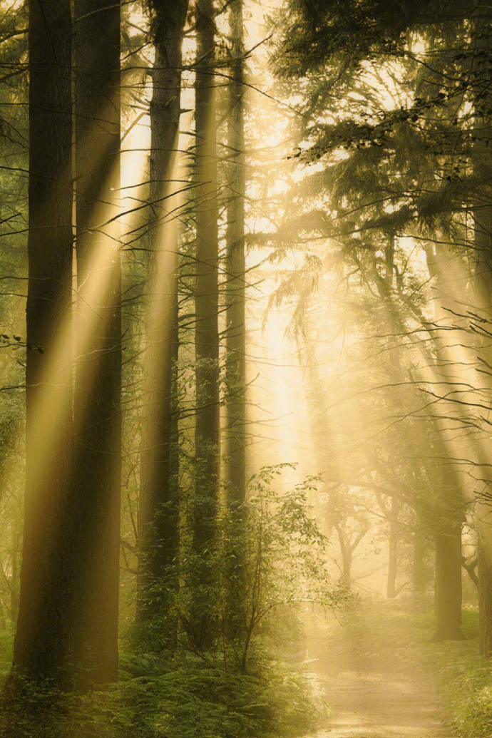 描写太阳的古诗词精选，日出日落互相交替，体现了诗人忧愁与喜悦