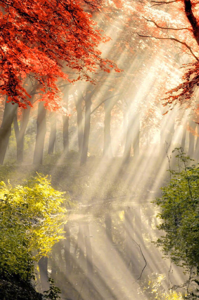 描写太阳的古诗词精选，日出日落互相交替，体现了诗人忧愁与喜悦