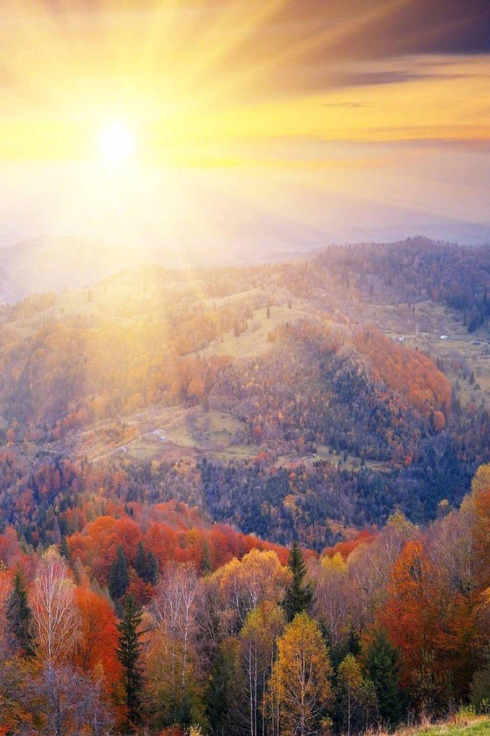 描写太阳的古诗词精选，日出日落互相交替，体现了诗人忧愁与喜悦