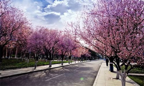 山东大学在职研究生报考流程一览