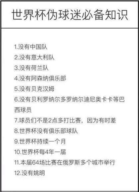 女人看不懂世界杯的说说(伪球迷看世界杯——我不懂足球？我年年都看世界杯？！)