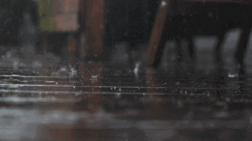 世界杯喝水规则（这届世界杯风和日丽？气象专家：没那么简单！（内有彩蛋））