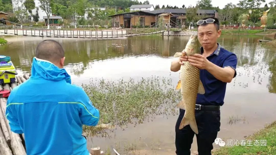 世界杯葡萄怎么处理(寻乡·觅趣丨绵阳惊现网红葡萄，免费进园！摘葡萄看世界杯，约起！)