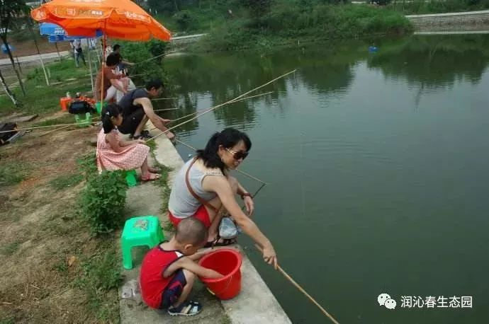 世界杯葡萄怎么处理(寻乡·觅趣丨绵阳惊现网红葡萄，免费进园！摘葡萄看世界杯，约起！)