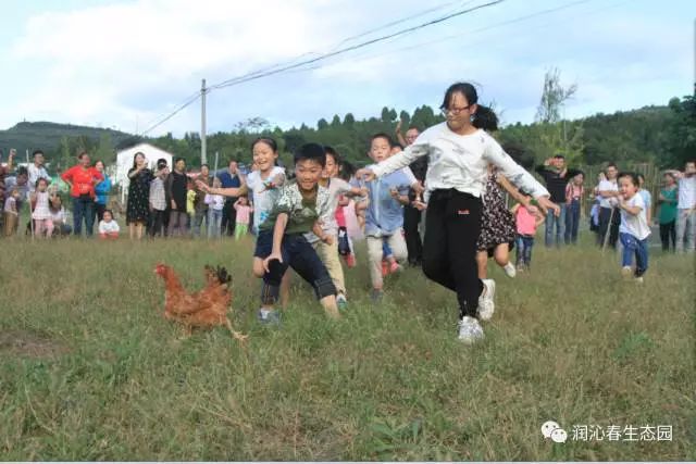 世界杯葡萄怎么处理(寻乡·觅趣丨绵阳惊现网红葡萄，免费进园！摘葡萄看世界杯，约起！)