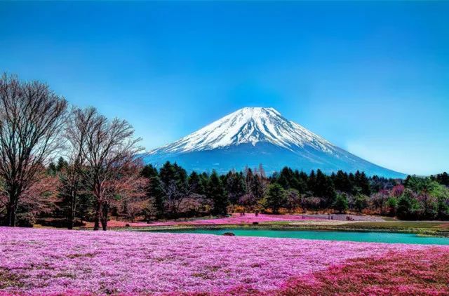 除了富士山,你還不應錯過的日本旅遊景點