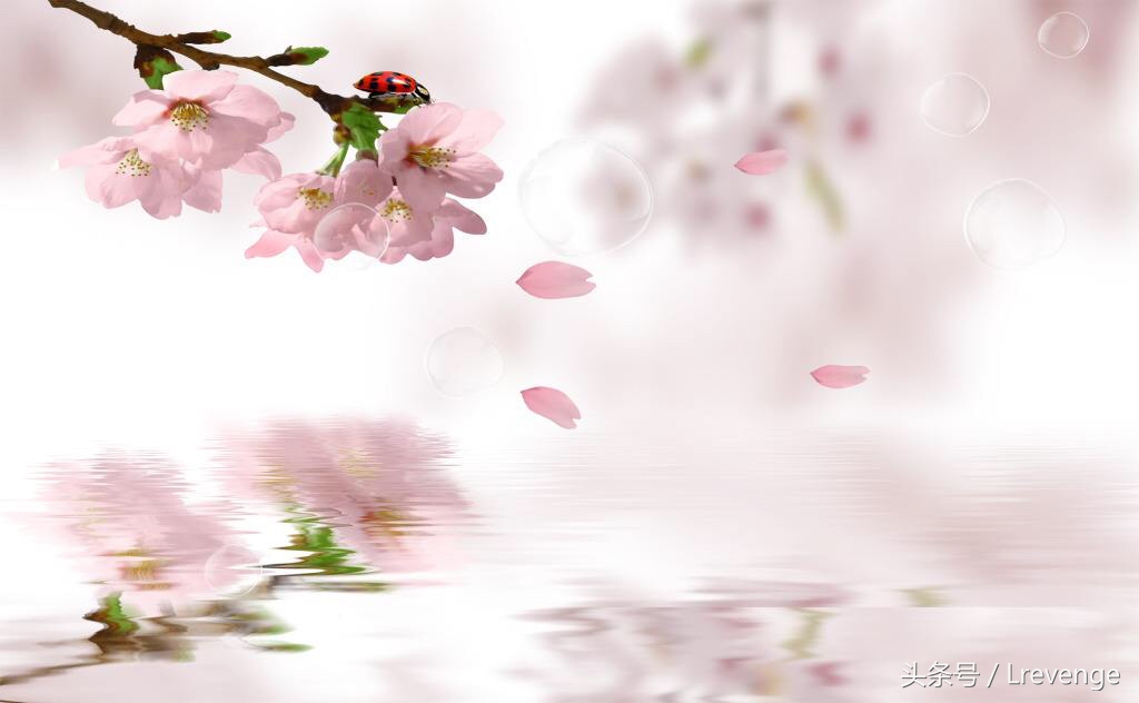 你会招惹到桃花煞吗（桃花煞详解）