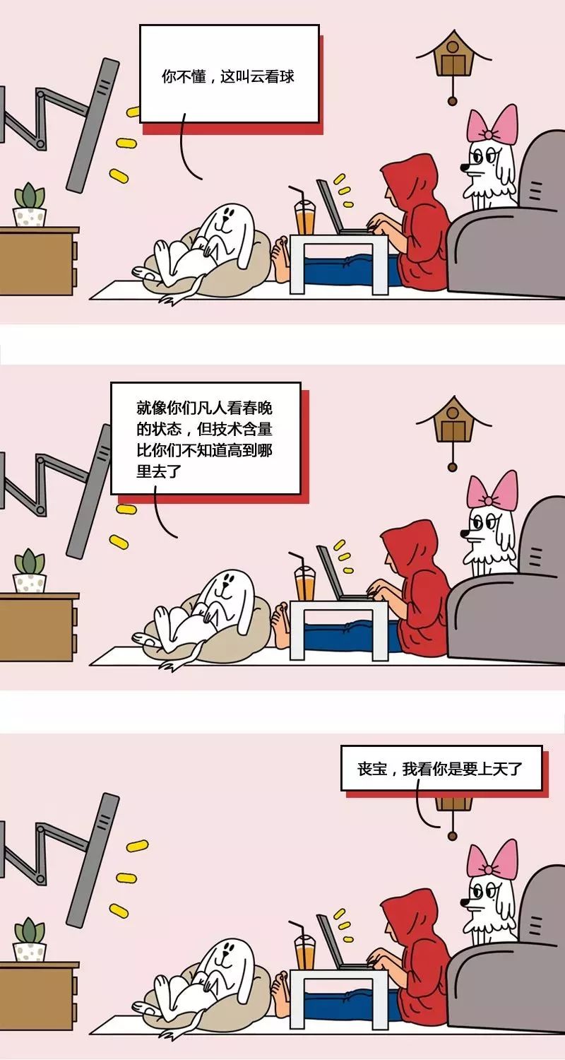 世界杯你们有什么好看(世界杯到底有什么好看的？)