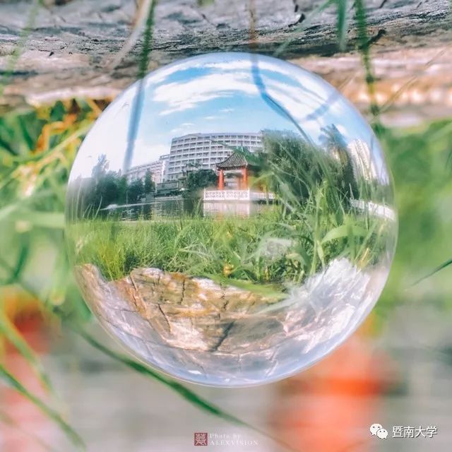 权威发布！2018年暨南大学分省分专业招生计划