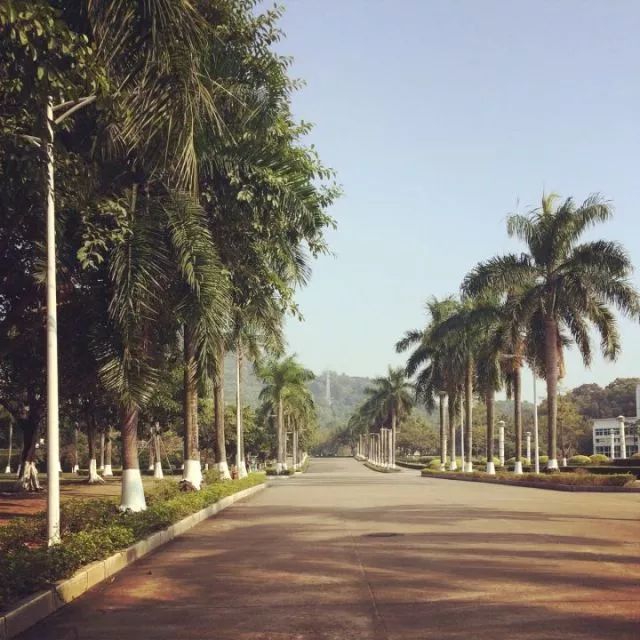 要毕业了，暨南的这些地方，有你的足迹吗？（精美动图）
