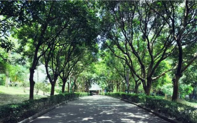 要毕业了，暨南的这些地方，有你的足迹吗？（精美动图）