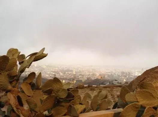 世界杯沙特禁食(世界杯沙特遭遇大败，球员禁食？普京表示无奈！)