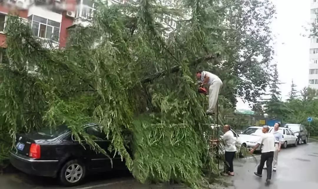 暴雨季停车诀窍，这样才能真正不伤车