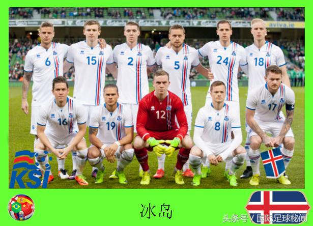 世界杯观赛通鉴「D组」冰岛：23名球员+主教练高清照和资料