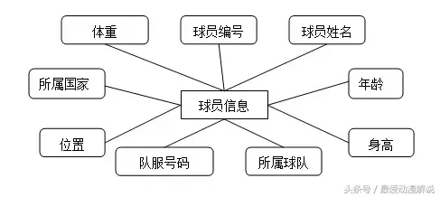 世界杯客队怎么区分(技术人的世界杯｜世界杯赛事数据库设计)