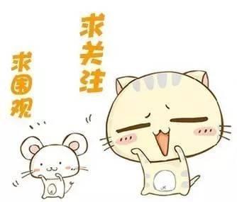 世界杯最干凈的國家（世界杯小組賽數據：韓國“臟”，日本“干凈”，德國數據可稱霸）