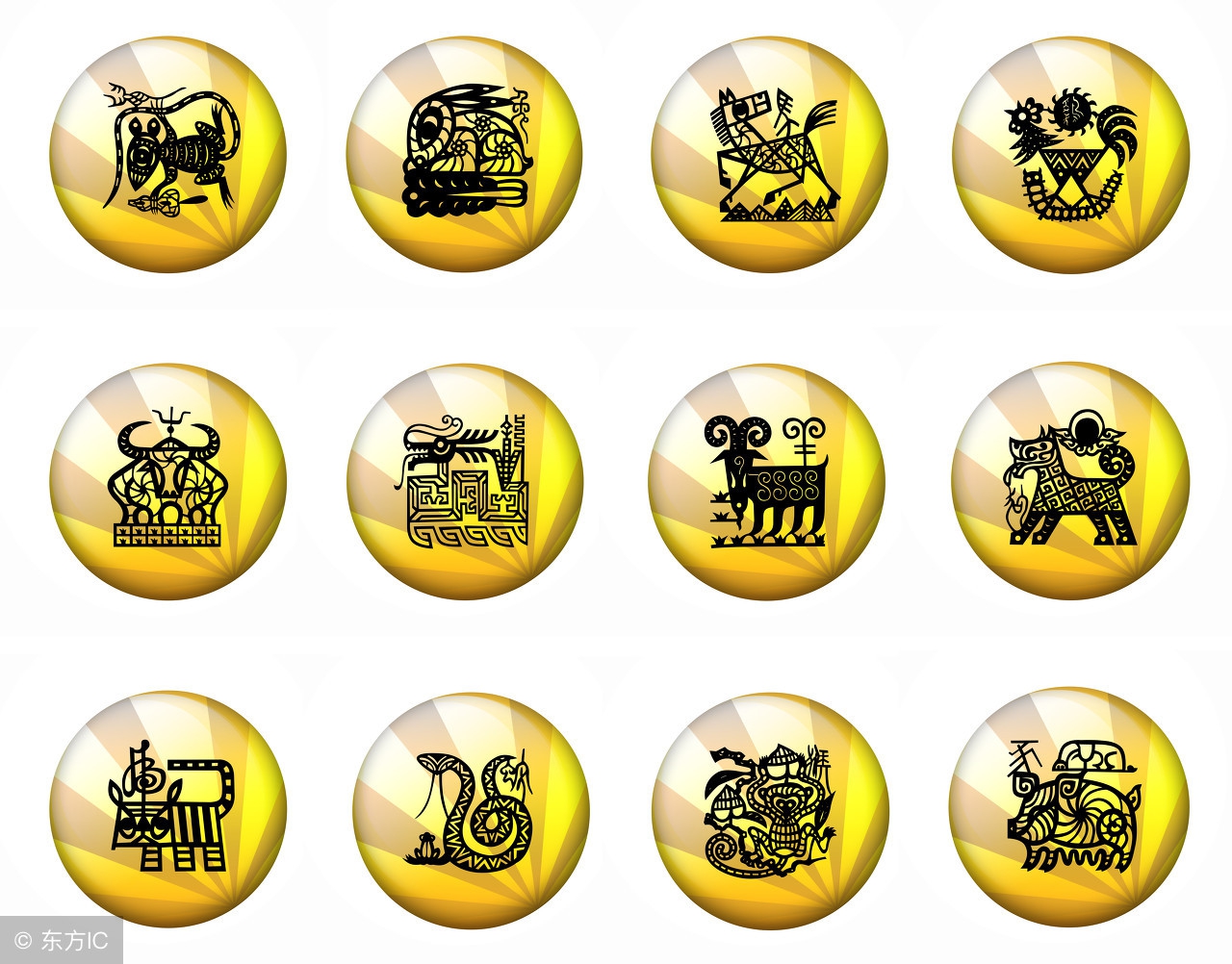 图片[1]-12生肖的英文相关表达-笑傲英语网