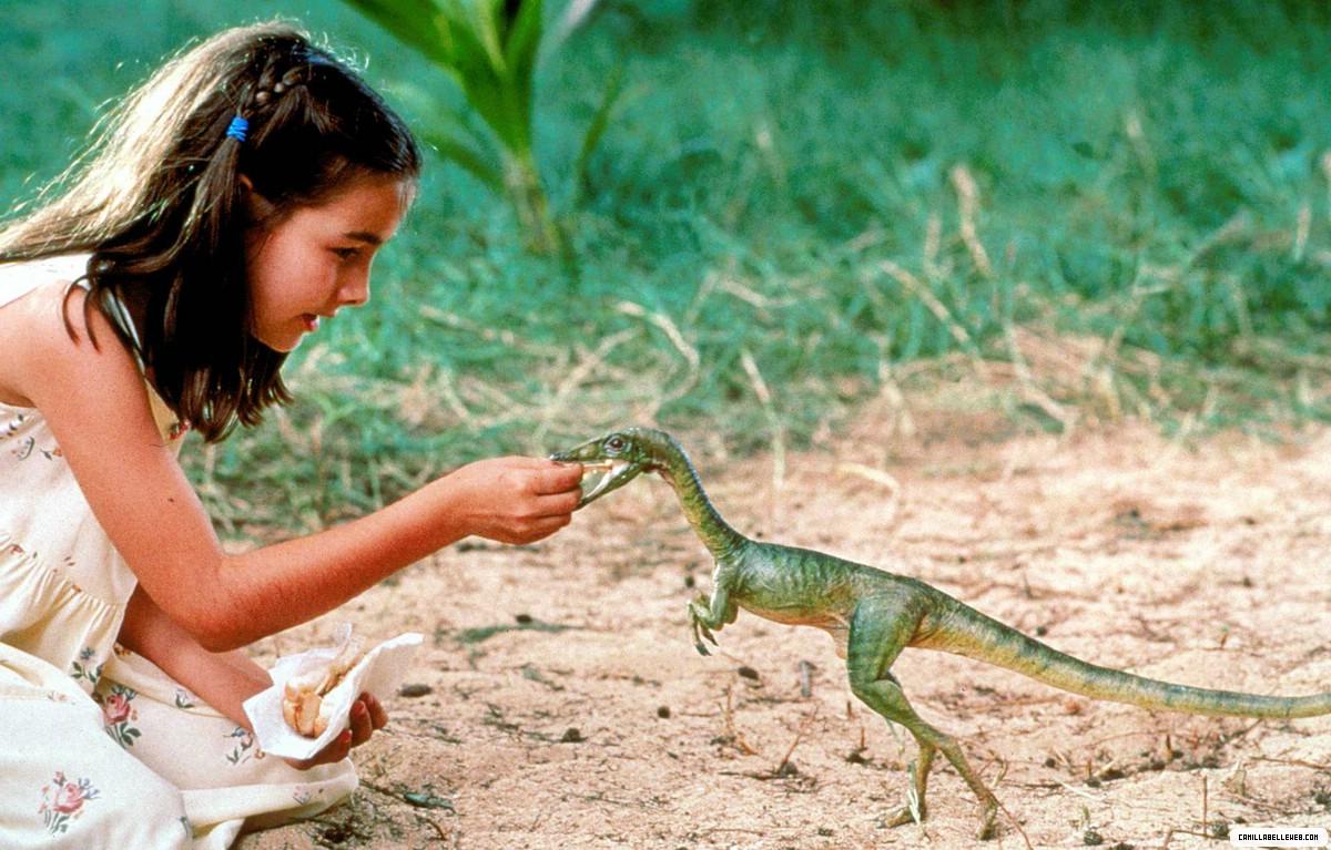 4,秀颌龙,或者美颌龙.