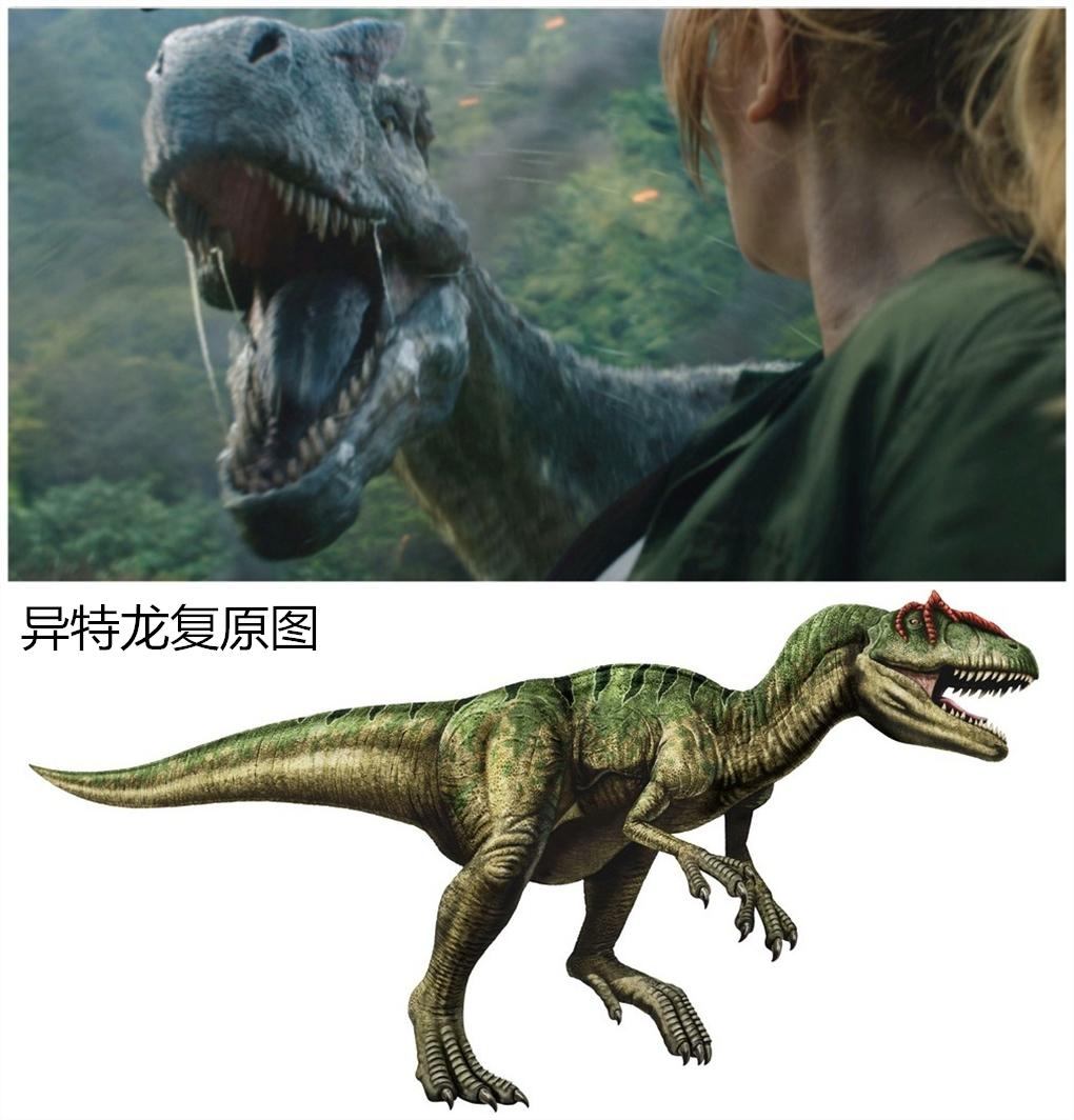 恐龙的种类15种肉食恐龙介绍