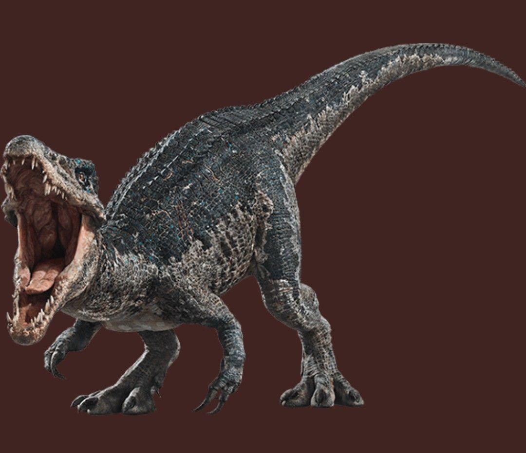 食肉恐龙的特征图片