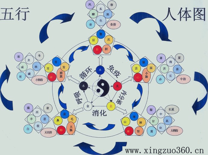 易经学习者必备图，喜欢易经的朋友，值得收藏雅鉴