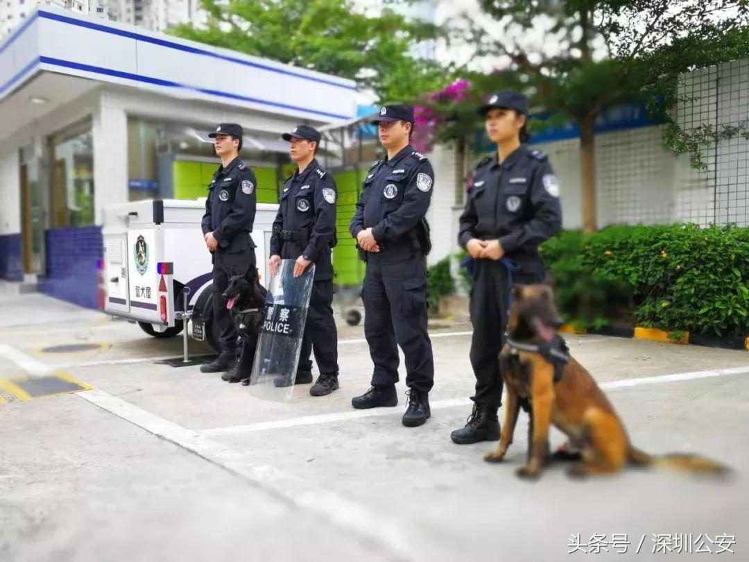 深圳刑警招聘警犬训导员啦~崇拜警汪的小伙伴快看过来！
