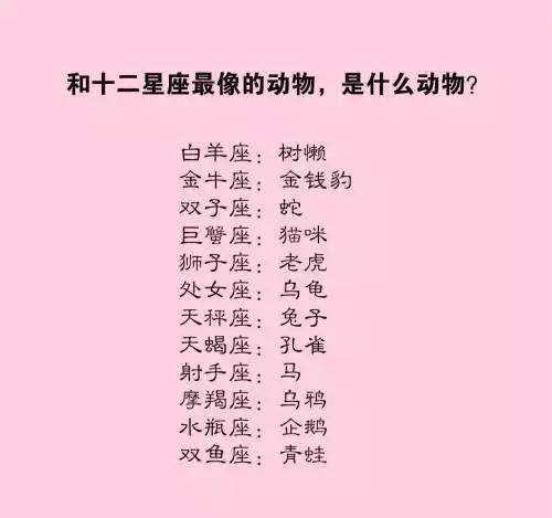 十二星座的幸运宠物是什么?