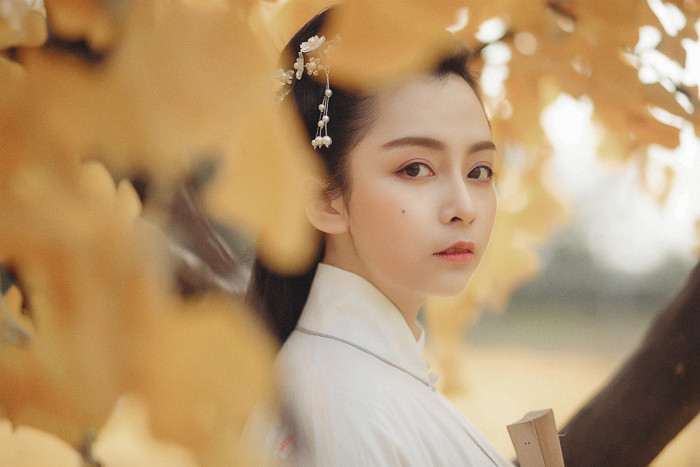 《鱼目集》人的一生充满离奇故事,那是灰白人生里值得炫耀的星光