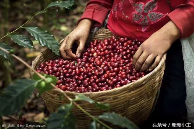 为什么世界杯那么盛大(世界杯的魅力有多大？为了晋级比赛，这两国曾不惜发动战争)