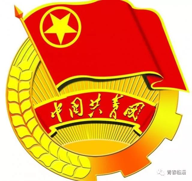 在新时代征程中砥砺前行｜共青团改革综述片